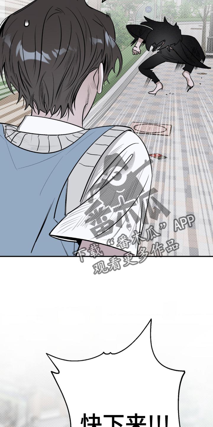 27.jpg